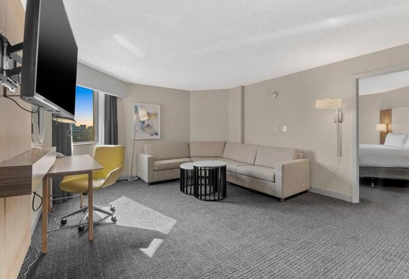 Полулюкс, Crowne Plaza Houston Med Ctr Galleria Area, An Ihg