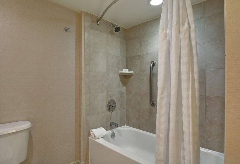 Люкс, Embassy Suites Hotel Winston Salem