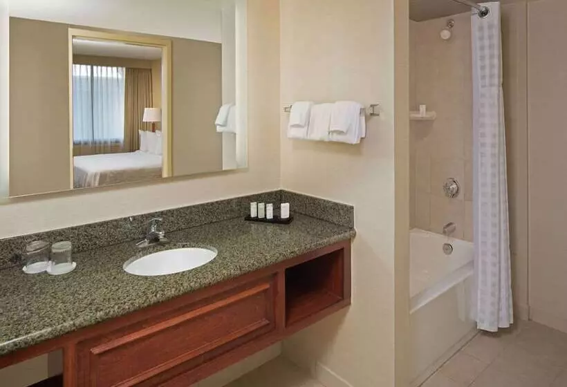 ２ベッドスイートルーム, Embassy Suites Hotel Winston Salem