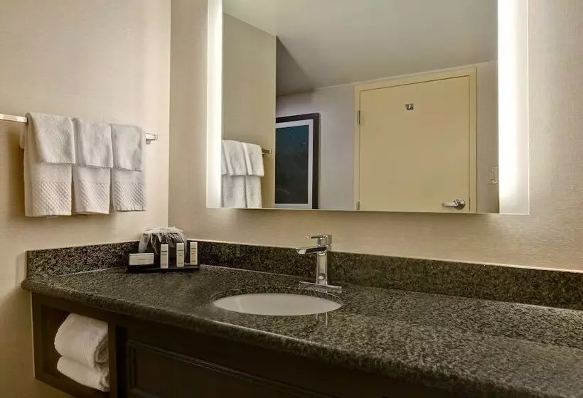 プレミアムスイート, Embassy Suites Hotel Winston Salem