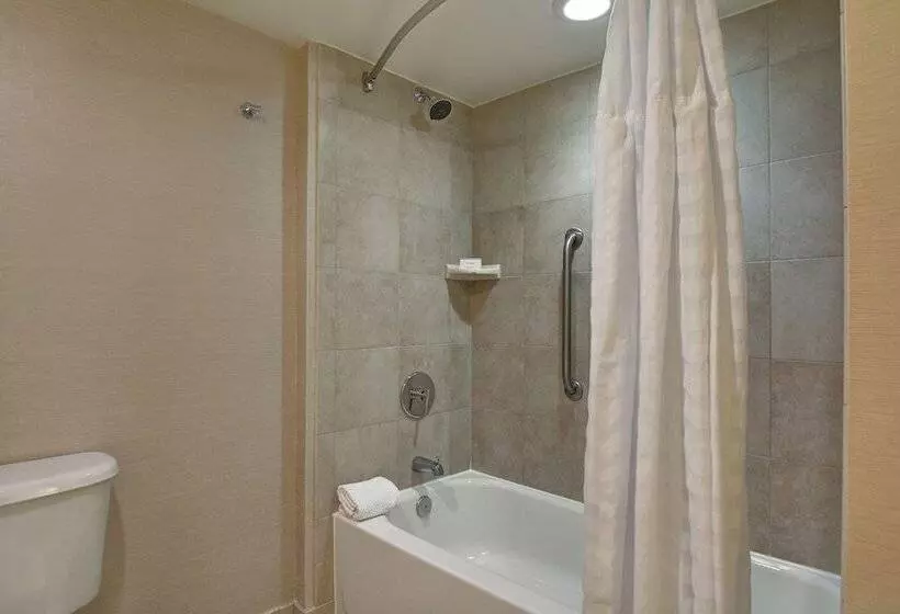 プレミアムスイート, Embassy Suites Hotel Winston Salem