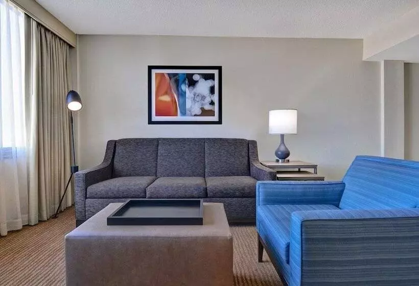プレミアムスイート, Embassy Suites Hotel Winston Salem