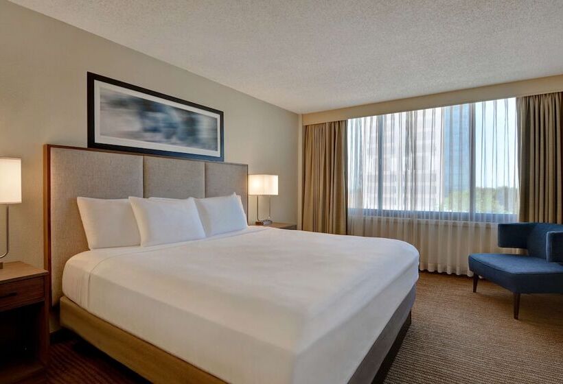 Люкс Премиум, Embassy Suites Hotel Winston Salem