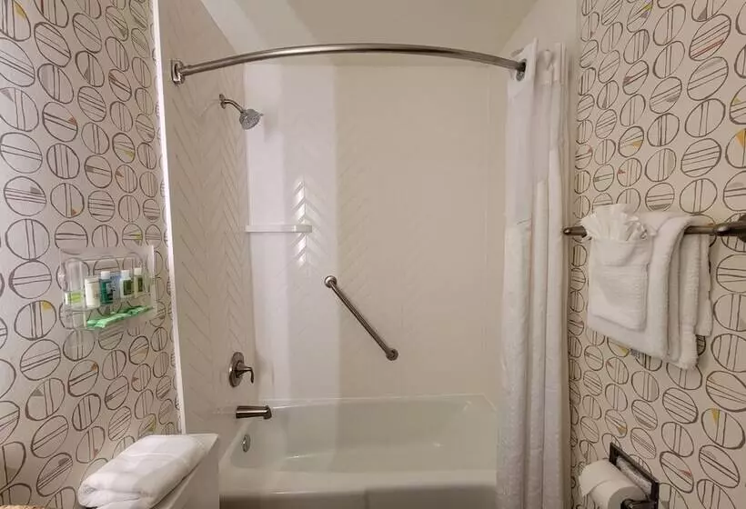 اتاق استاندارد با تخت دوبل, Holiday Inn Asheville East Blue Ridge Pkwy, An Ihg