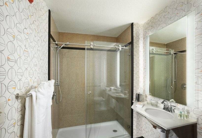 스탠다드 룸 더블 침대, Holiday Inn Asheville East Blue Ridge Pkwy, An Ihg