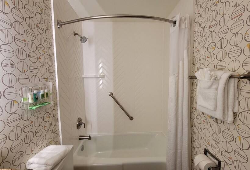 스탠다드 룸, Holiday Inn Asheville East Blue Ridge Pkwy, An Ihg