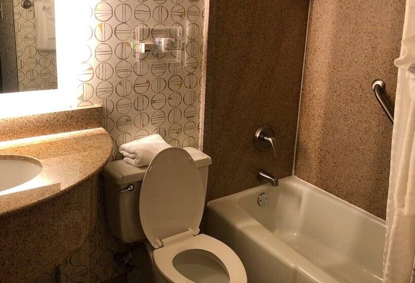 Номер Стандарт 2 Двуспальные Кровати, Holiday Inn Asheville East Blue Ridge Pkwy, An Ihg