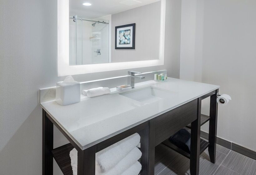 适合残疾人士使用的套间, Holiday Inn   Beaumont East Medical Ctr Area, An Ihg