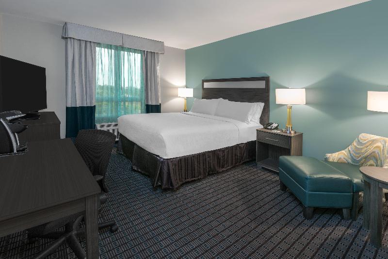 キングサイズベッドのスタンダードルーム, Holiday Inn   Beaumont East Medical Ctr Area, An Ihg