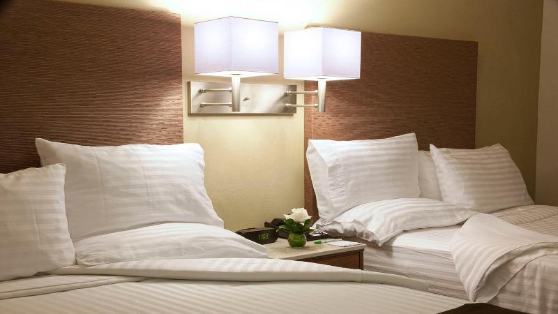 适合残疾人使用的标准间, Holiday Inn   Beaumont East Medical Ctr Area, An Ihg