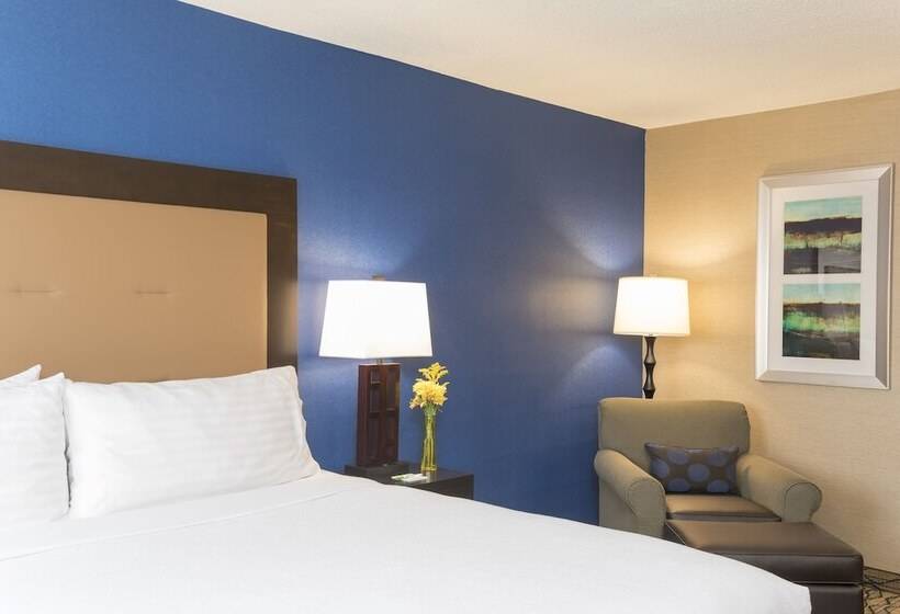 Номер Стандарт, Holiday Inn Chicago   Elk Grove, An Ihg