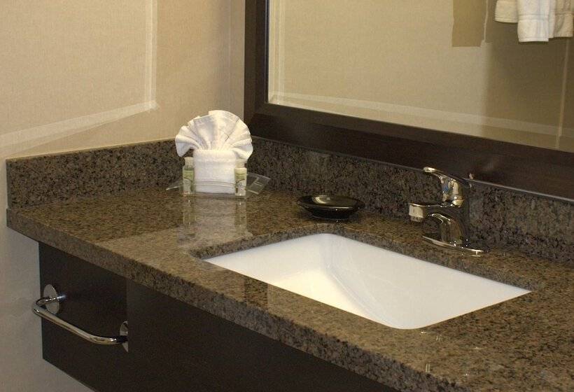 اتاق استاندارد, Holiday Inn Chicago   Elk Grove, An Ihg