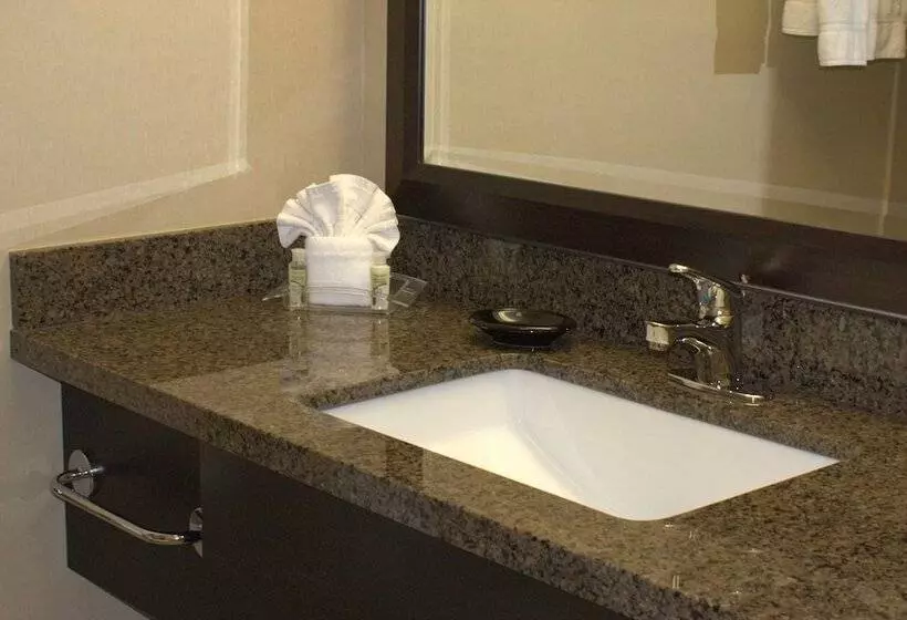 اتاق استاندارد, Grand Royal Hotel O Hare Chicago