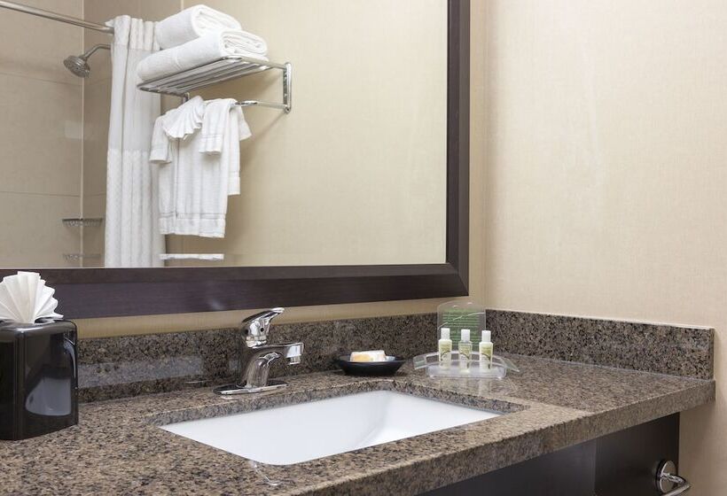 اتاق استاندارد با 2 تخت دوبل, Holiday Inn Chicago   Elk Grove, An Ihg
