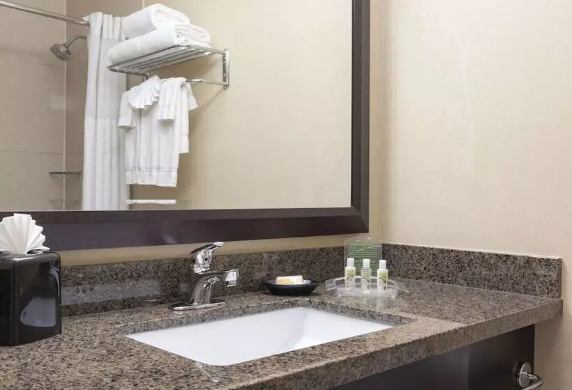 اتاق استاندارد با 2 تخت دوبل, Grand Royal Hotel O Hare Chicago