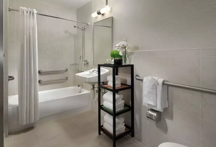 اتاق استاندارد با تخت دوبل برای معلولان, Bei San Francisco, Trademark Collection By Wyndham