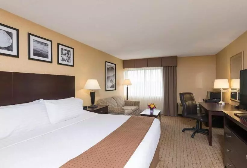 キングサイズベッドのスタンダードルーム, Holiday Inn Cleveland   South Independence, An Ihg