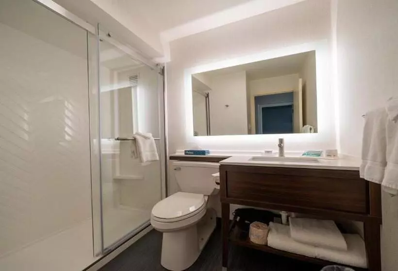 キングサイズベッドのスタンダードルーム, Holiday Inn Cleveland   South Independence, An Ihg