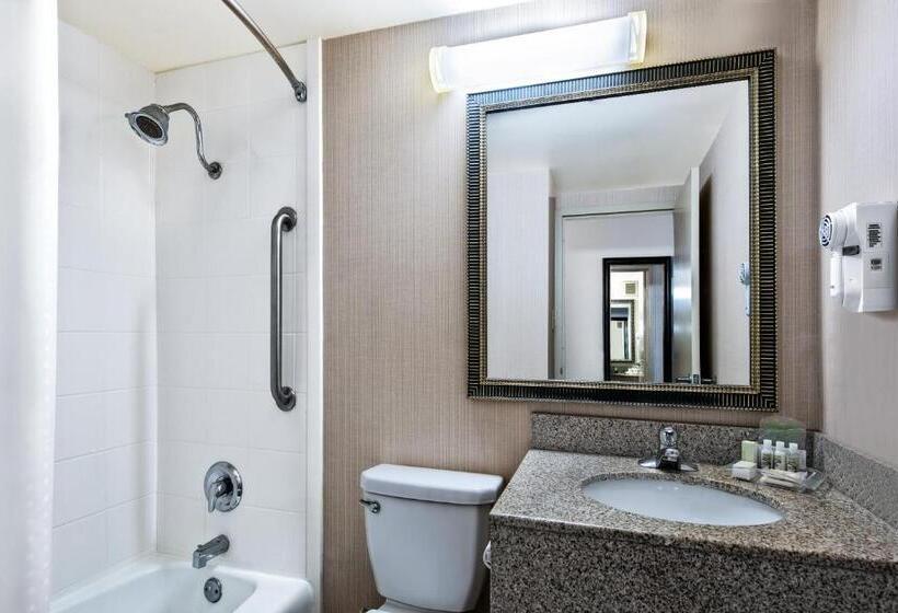 이그제큐티브 룸, Holiday Inn Hotel Dallas Dfw Airport West, An Ihg