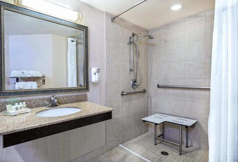 장애인을 위한 킹사이즈 침대 스탠다드 룸, Holiday Inn Hotel Dallas Dfw Airport West, An Ihg