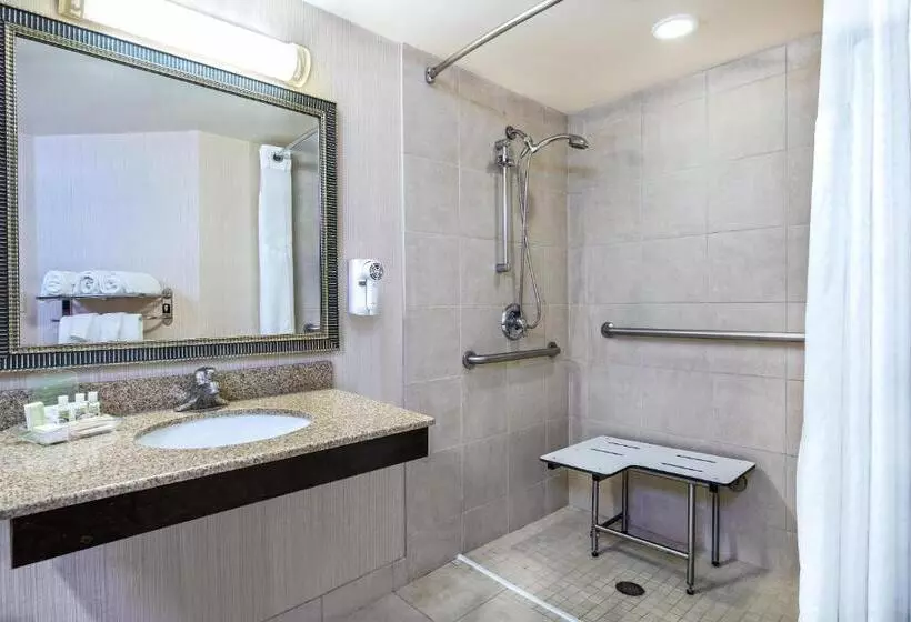 身障者適用キングサイズベッドルーム, Holiday Inn Hotel Dallas Dfw Airport West, An Ihg