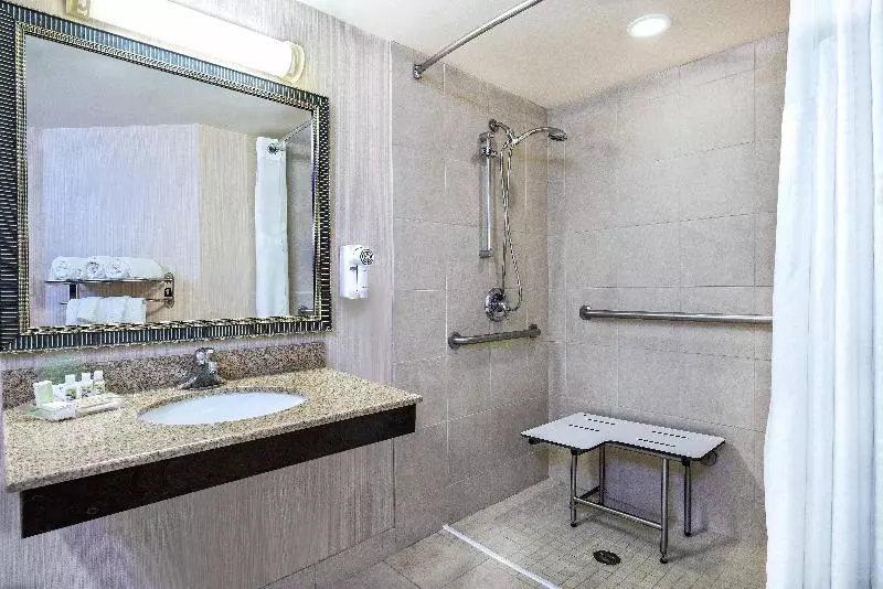 身障者適用キングサイズベッドルーム, Holiday Inn Hotel Dallas Dfw Airport West, An Ihg