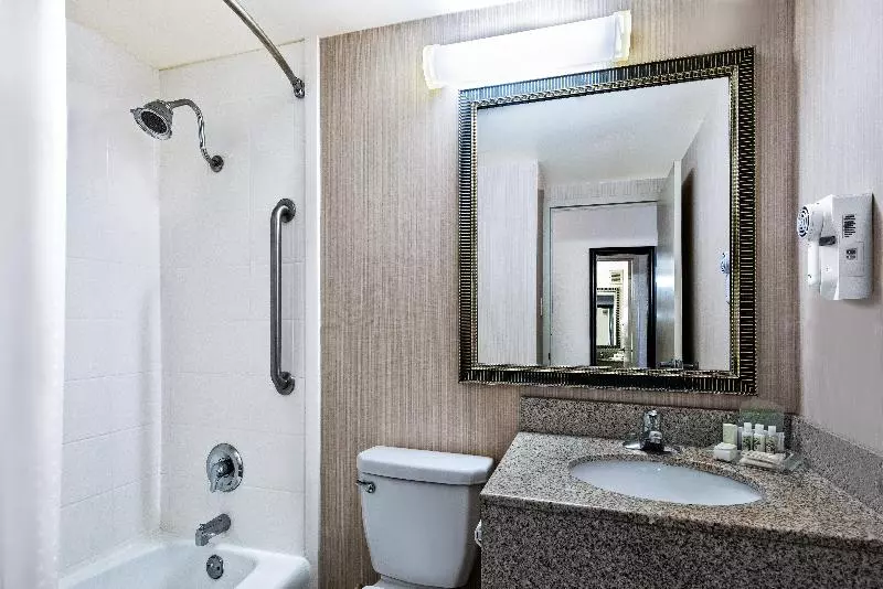 身障者適用キングサイズベッドルーム, Holiday Inn Hotel Dallas Dfw Airport West, An Ihg