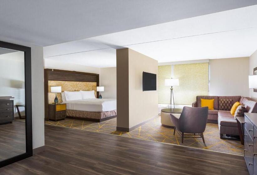 带大床的套房, Holiday Inn La Mirada Buena Park, An Ihg