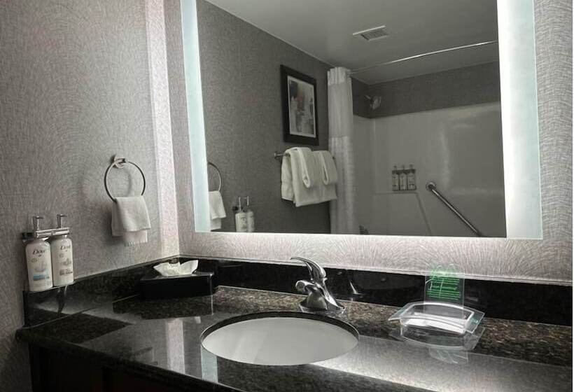 标准间, Holiday Inn La Mirada Buena Park, An Ihg