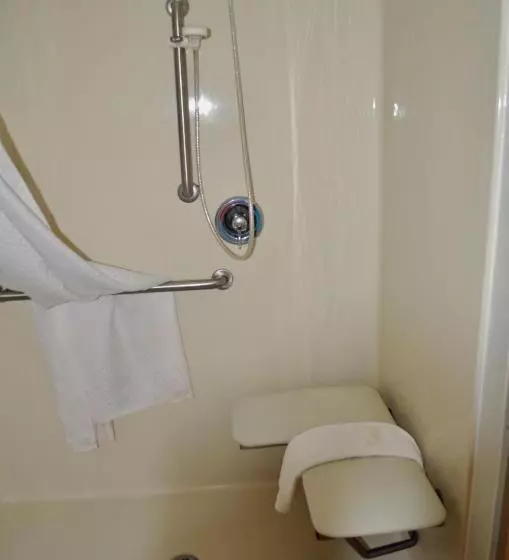 اتاق استاندارد برای معلولان, Hot Springs Hotel & Spa