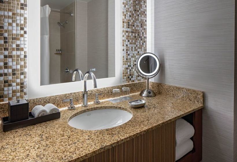 스탠다드 룸 더블 침대 2개, Hyatt Regency Denver Tech Center