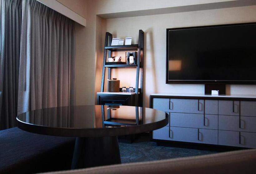 Номер Стандарт Кровать Кинг Адаптированный для Инвалидов, Hyatt Regency Sacramento