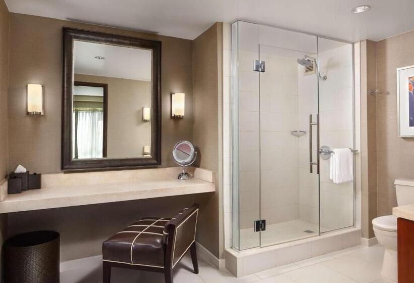 Люкс, Hyatt Regency Sacramento