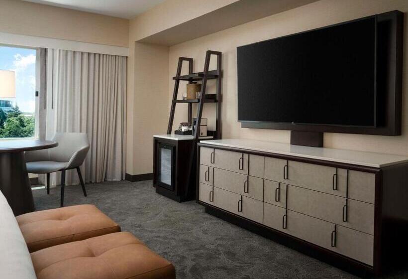 Номер Стандарт Двуспальная Кровать Вид на Парк, Hyatt Regency Sacramento