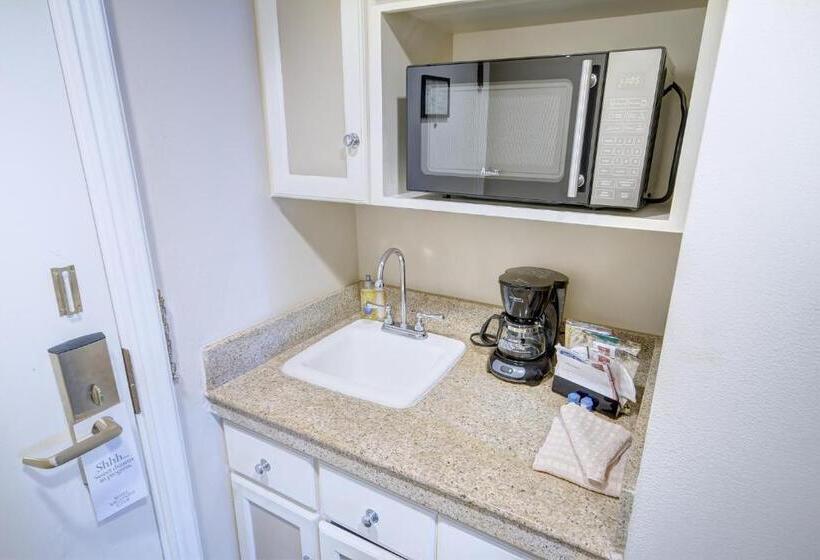 スタンダードスタジオ, Inn At The Opera