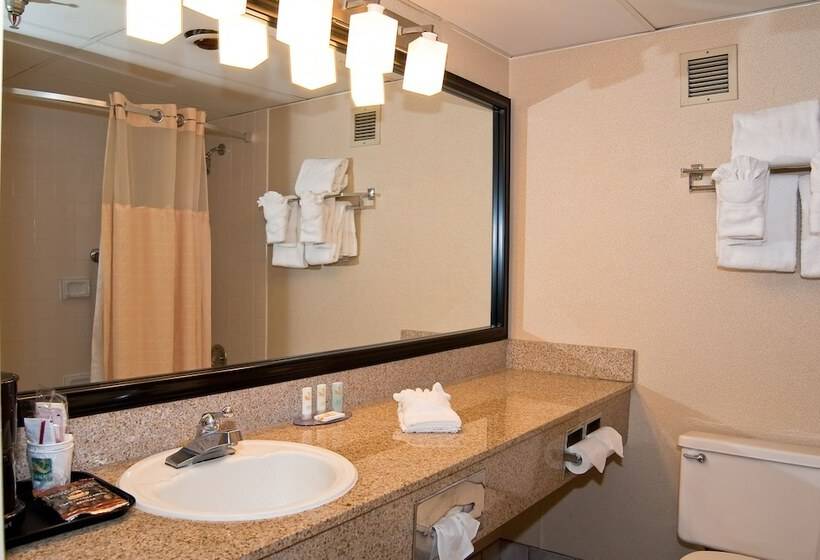 带2个双人床的标准工作室, Quality Inn And Conference Center