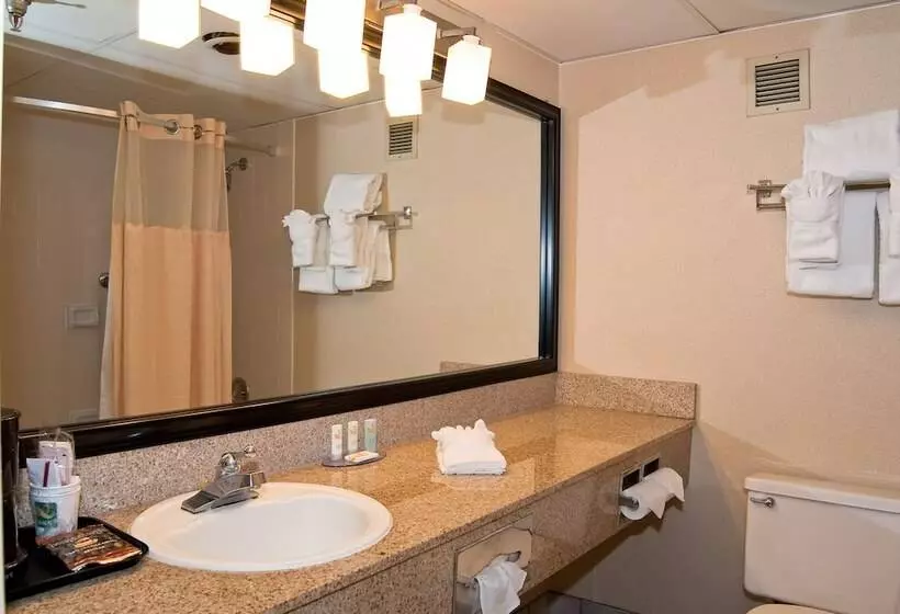 ２ダブルベッドのスタンダードルーム, Quality Inn And Conference Center