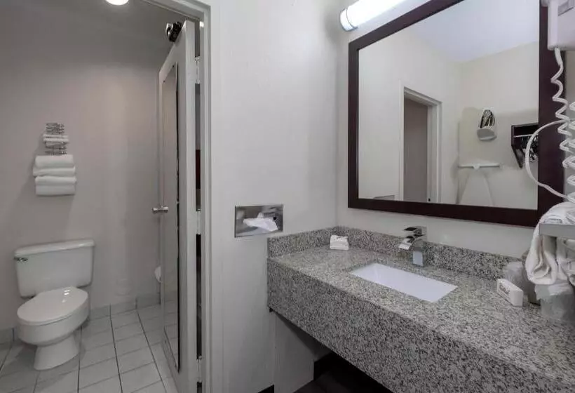 キングサイズベッドのスーペリアルーム, Red Roof Inn Warrenton