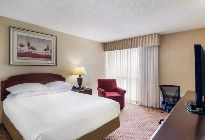 身障者適用スタンダードルーム, Red Lion Hotel Cheyenne
