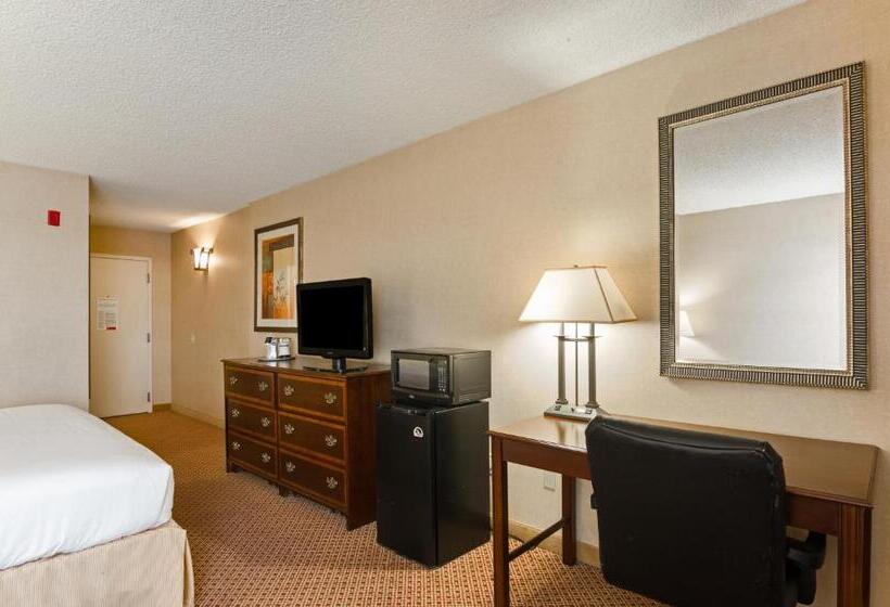 스탠다드 룸 킹사이즈 침대, Red Lion Hotel Cheyenne