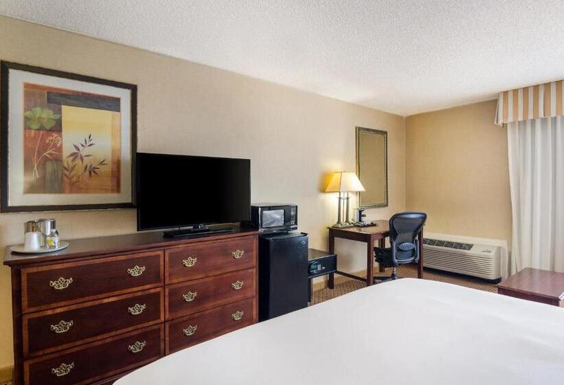 스탠다드 룸 킹사이즈 침대, Red Lion Hotel Cheyenne