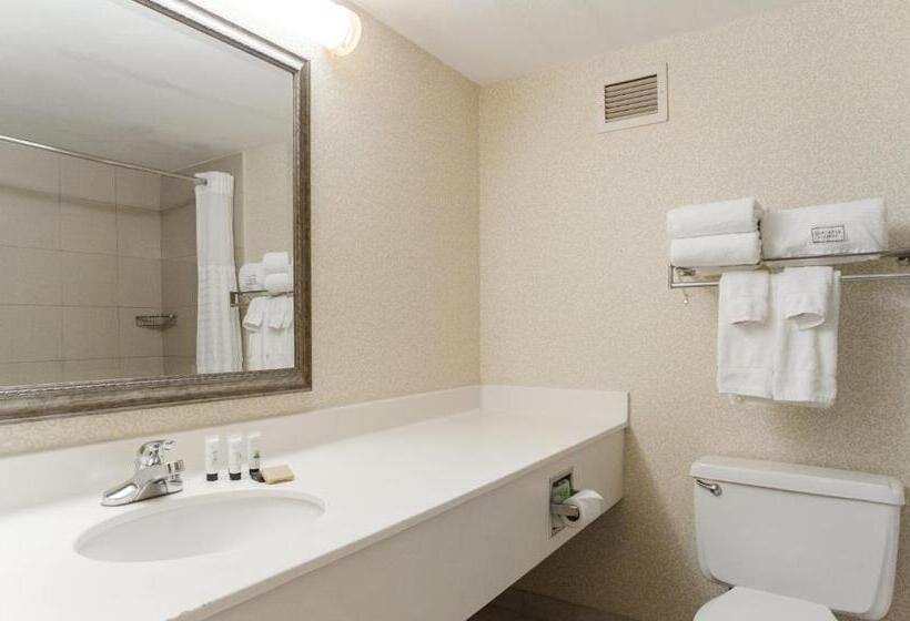 장애인을 위한 킹사이즈 침대 스탠다드 룸, Red Lion Hotel Cheyenne