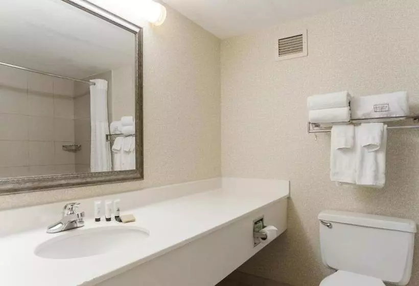 身障者適用キングサイズベッドルーム, Red Lion Hotel Cheyenne