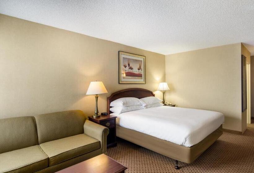 장애인을 위한 킹사이즈 침대 스탠다드 룸, Red Lion Hotel Cheyenne