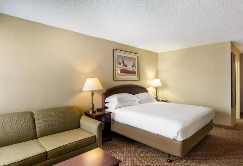 身障者適用キングサイズベッドルーム, Red Lion Hotel Cheyenne