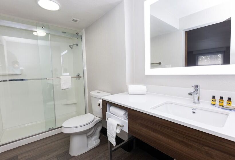 جناح, Bhagat Hotels Stone Mountain Atlanta Bw Signature Collection