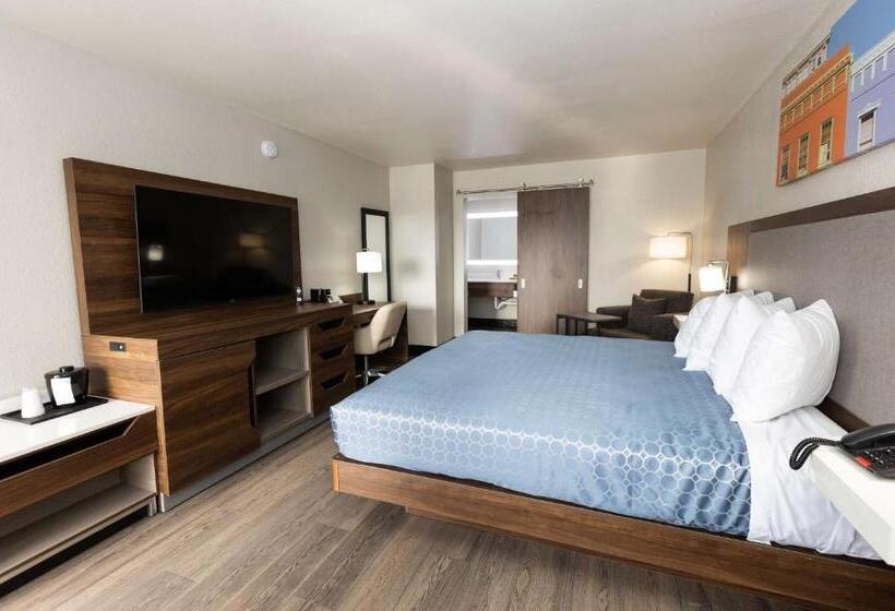 غرفة قياسية سرير كينج لذوى الإحتياجات الخاصة, Bhagat Hotels Stone Mountain Atlanta Bw Signature Collection