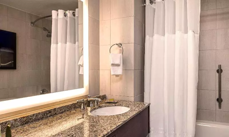 デラックスルーム, Hilton Anatole