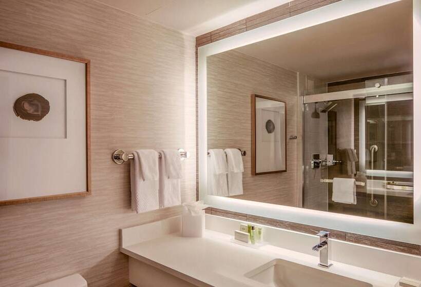 חדר סטנדרט מיטה זוגית עם נוף לעיר, Hilton Denver City Center