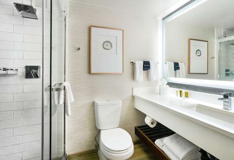 חדר סטנדרט מיטה זוגית עם נוף לעיר, Hilton Denver City Center